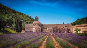 de provence france lavender in provence