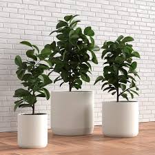 51 Large Planters To Upgrade Your Plant