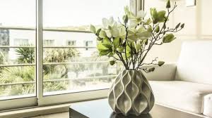 √ Green Living: 9 of the Best Indoor Plants for Apartments
