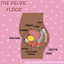 pelvic floor problems 101 why mums