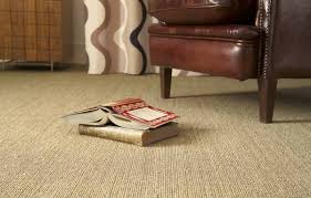 how to care for your wall to wall carpets