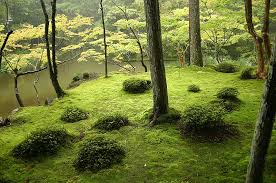 Japanese Garden Wikipedia
