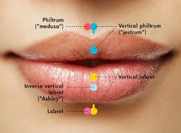 lip piercings your guide to pain