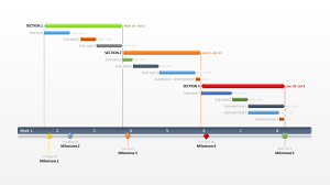 Office Timeline Microsoft Project Presentation Tool