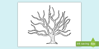 Tree Trunk Template Nature Drawing