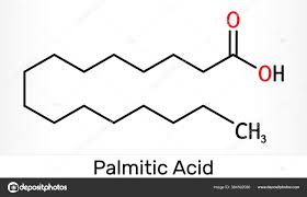 palmitic acid hexadecanoic c16h32o2