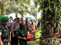 Энди сьяра, макс барбаков в главных ролях: Palm Oil Expands In Aceh