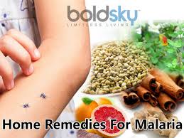 Malaria Causes Symptoms Home Remedies Diet Boldsky Com