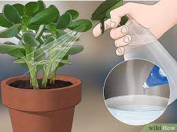 4 ways to get rid of gnats wikihow
