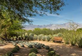 sunnylands opens art garden to public