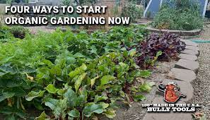 four ways to start organic gardening