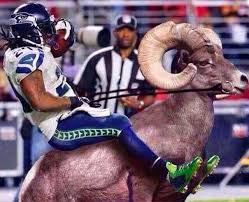 Home to the best seahawks memes! Seahawks Vs Rams Seahawks Vs Rams Seahawks Team Seattle Seahawks Football