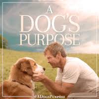 Image result for A dog's purpose