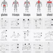 tricep workout no weights outlet