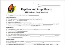 Bbc Life Reptiles And Amphibians Video Worksheet Editable Tpt