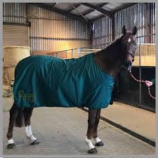 embroidered horse rugs bequestrian