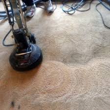 home carpet cleaning anderson carpet