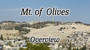 Mt. of Olives Overview Tour: Chapel of Ascension, Pater Noster Church, Dominus Flevit, Gethsemane - YouTube