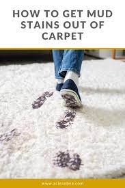 how to get mud out of carpet