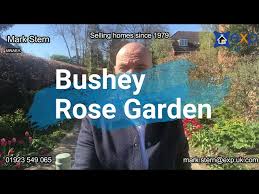 Bushey Rose Garden A Gem Of