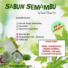 Pernah dengar tentang daun semambu tak? Sabun Semambu Susuk Manja Shopee Malaysia
