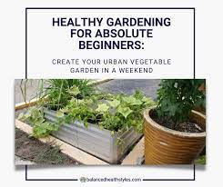 Create Your Urban Vegetable Garden In A