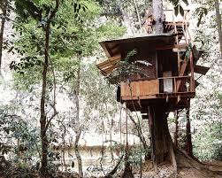 construire une cabane dans un arbre