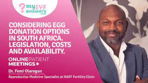 We did not find results for: Ivf With Donor Eggs In South Africa Law Donors And Cost