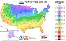 Burgess Seed And Plant Zones Iranit Co