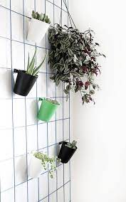 Wall Plant Hanger Indoor Plant Wall