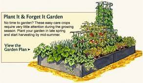 vegetable garden planner layout