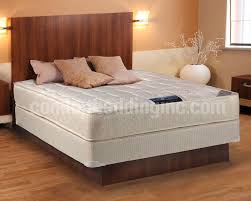 sleep impressions steinbock mattress