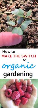 How To Switch To Organic Gardening