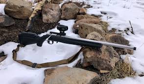 the 22 lr ruger american rimfire