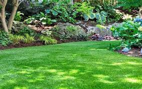 Renovate Your Indianapolis Lawn