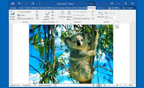 Elimina el fondo de una imagen desde Word y PowerPoint Cómo eliminar el  fondo de una imagen en PowerPoint y Word