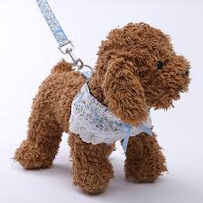 Breathable Mesh Small Dog Pet Harnesses And Leash Set Cute Floral Lace Puppy Vest For Dog Cat Safety Belt Dog Chest Straps