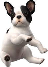 There are no other cat types or colors to unlock. Nintendog Smashwiki The Super Smash Bros Wiki