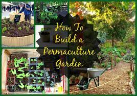 permaculture design principles 12
