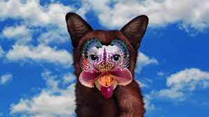 No money is a song by swedish electronic music duo galantis. Galantis No Money Official Audio Coub The Biggest Video Meme Platform