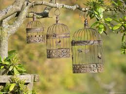 decorative bird cage vine style