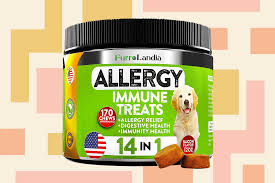 12 allergy cines for dogs to help