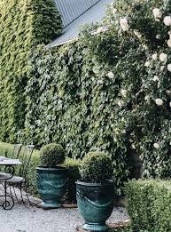 Want A Gorgeous Garden Fast Here S