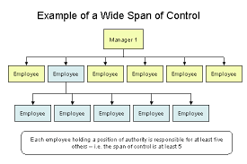 14 Logical Span Of Control Chart