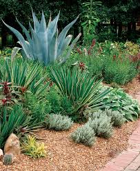 Designing With Spiky Plants Finegardening