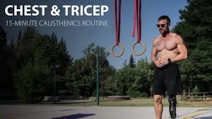 chest triceps follow along workout