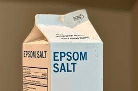 epsom salts for gardenias expert tips