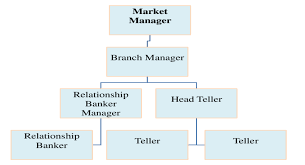 Generic Organizational Chart For Banks Download Scientific