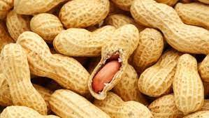 do peanuts make you gain weight ndtv