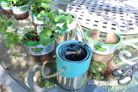 Diy Paint Can Herb Garden Simple Stylings